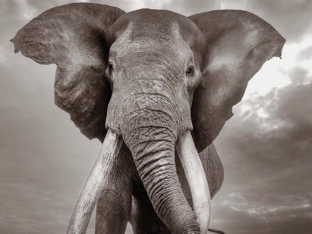 image-evento-86e41c4f-bb52-4684-9c03-88f6d7a074a6,17470.jpg?WebbinsCacheCounter=1