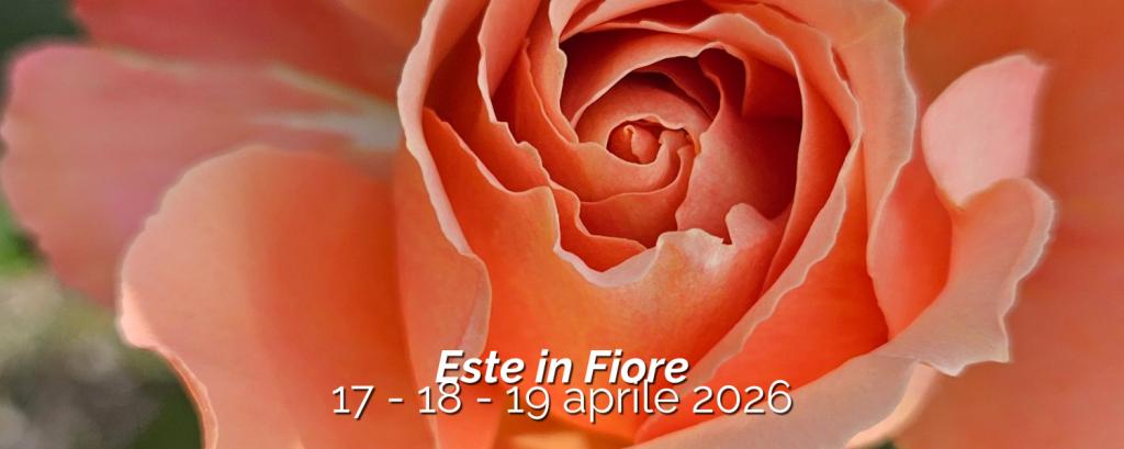 image-evento-87dafb09-321d-4948-90e6-fc2a178dede5,18535.jpg?WebbinsCacheCounter=1