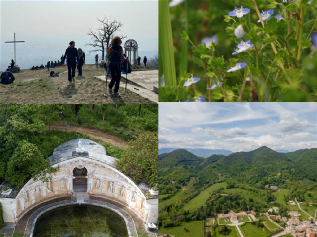 image-evento-afe6ea65-e27d-4dbc-a964-93836c6daf49,19276.jpg?WebbinsCacheCounter=1