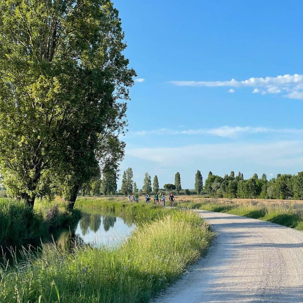 image-evento-b4ef951a-f822-4d5e-9ef4-5ab73ea320c1,18652.jpg?WebbinsCacheCounter=1