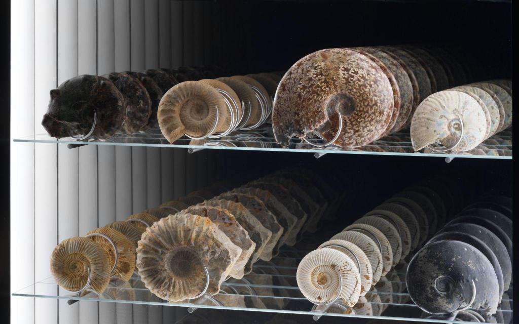 image-evento-ba1c814a-a2b7-4772-845b-1e3d41fb293b,19179.jpg?WebbinsCacheCounter=1