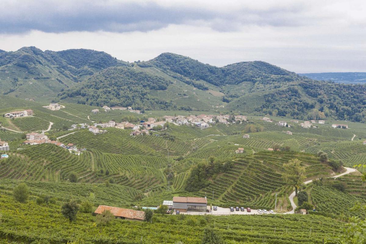 Panorama sulle Colline del Prosecco 2