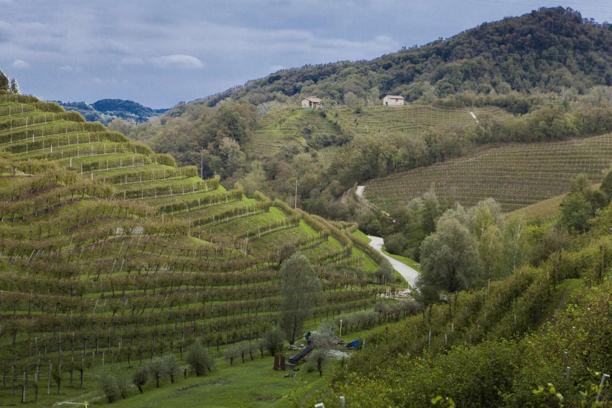 Panorama sulle Colline del Prosecco