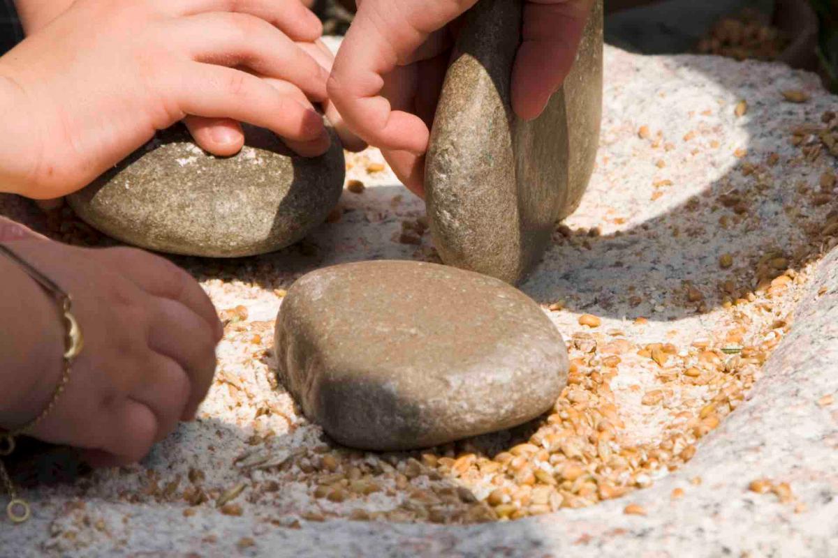 Parco archeologico-didattico Livelet, un Villaggio palafitticolo da visitare durante le tue vacanze culturali sulle Colline del Prosecco in Veneto