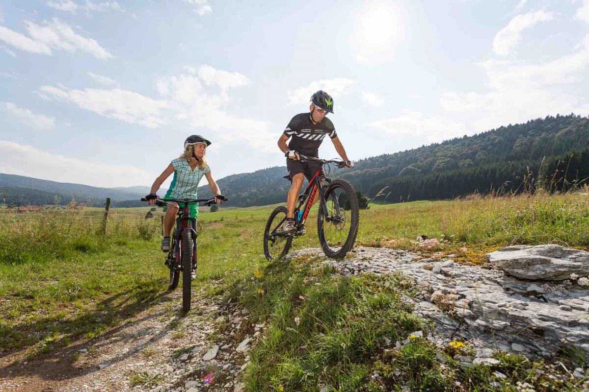 vacanza in bicicletta in Veneto sulle Colline del Prosecco e La Foresta del Cansiglio