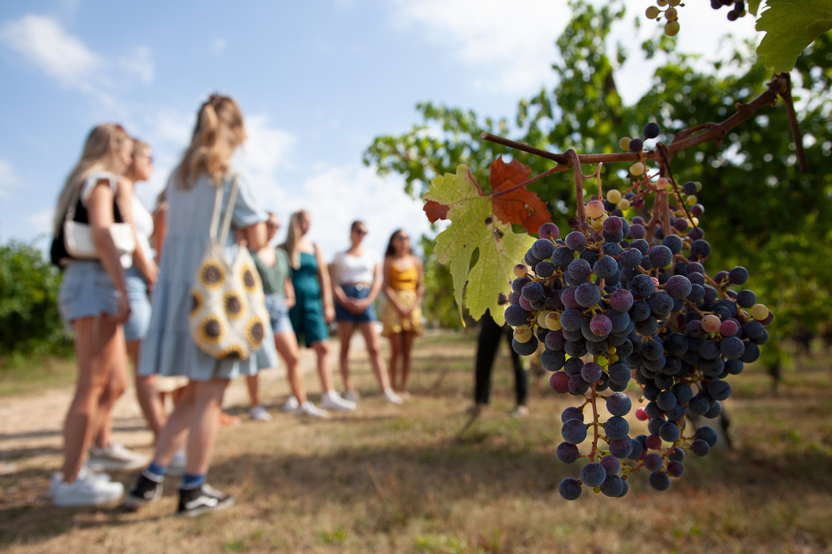 moret vini_degustazione al buio (1)