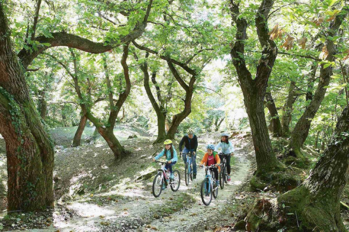 Tour in mountain bike sulle Colline del Prosecco durante la tua vacanza in famiglia in Veneto