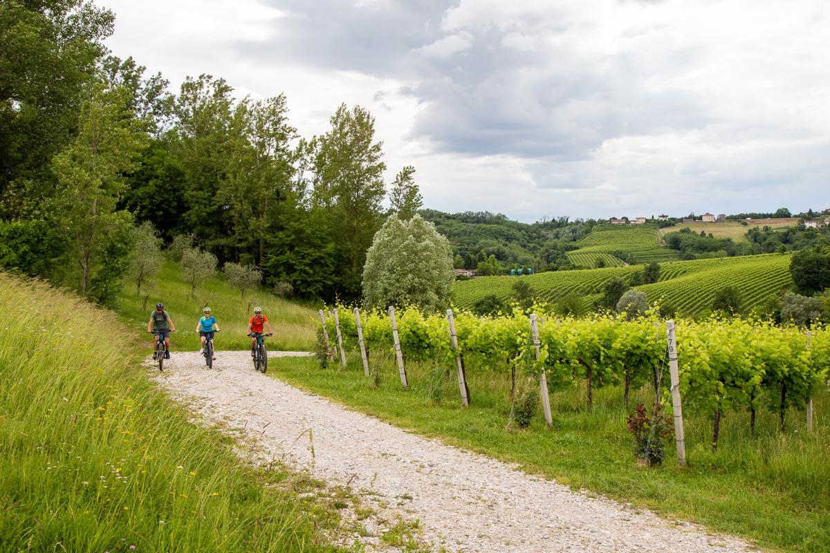 panoramica colline prosecco