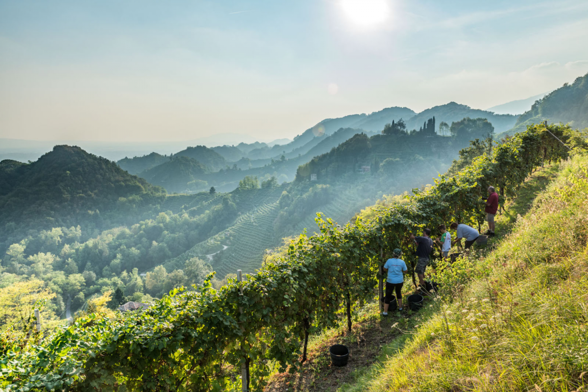 Responsible Prosecco wine tour scopri le vere Colline dell’Unesco (2)
