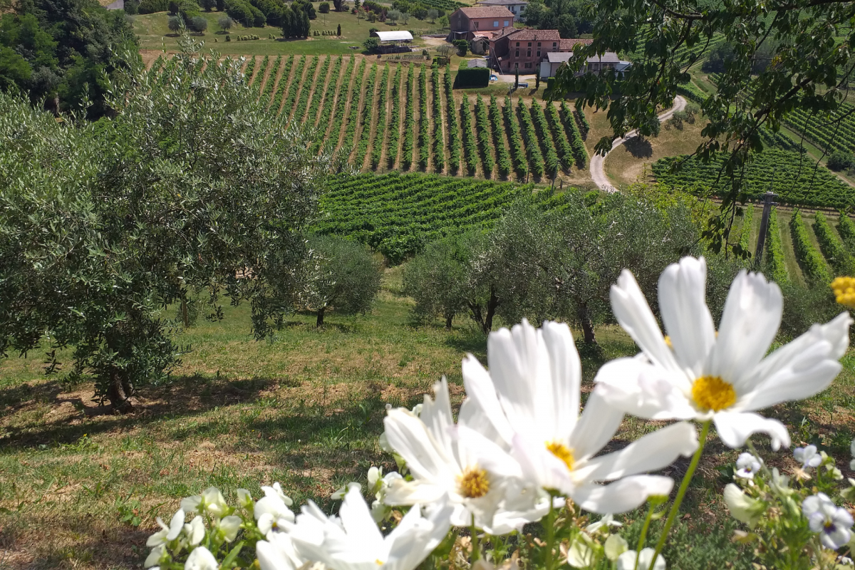Responsible Prosecco wine tour scopri le vere Colline dell’Unesco (5)