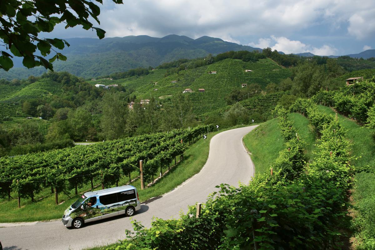 Tour del prosecco in Veneto sull'area di produzione del Prosecco Superiore DOCG, percorri le colline del Prosecco con la minivan!