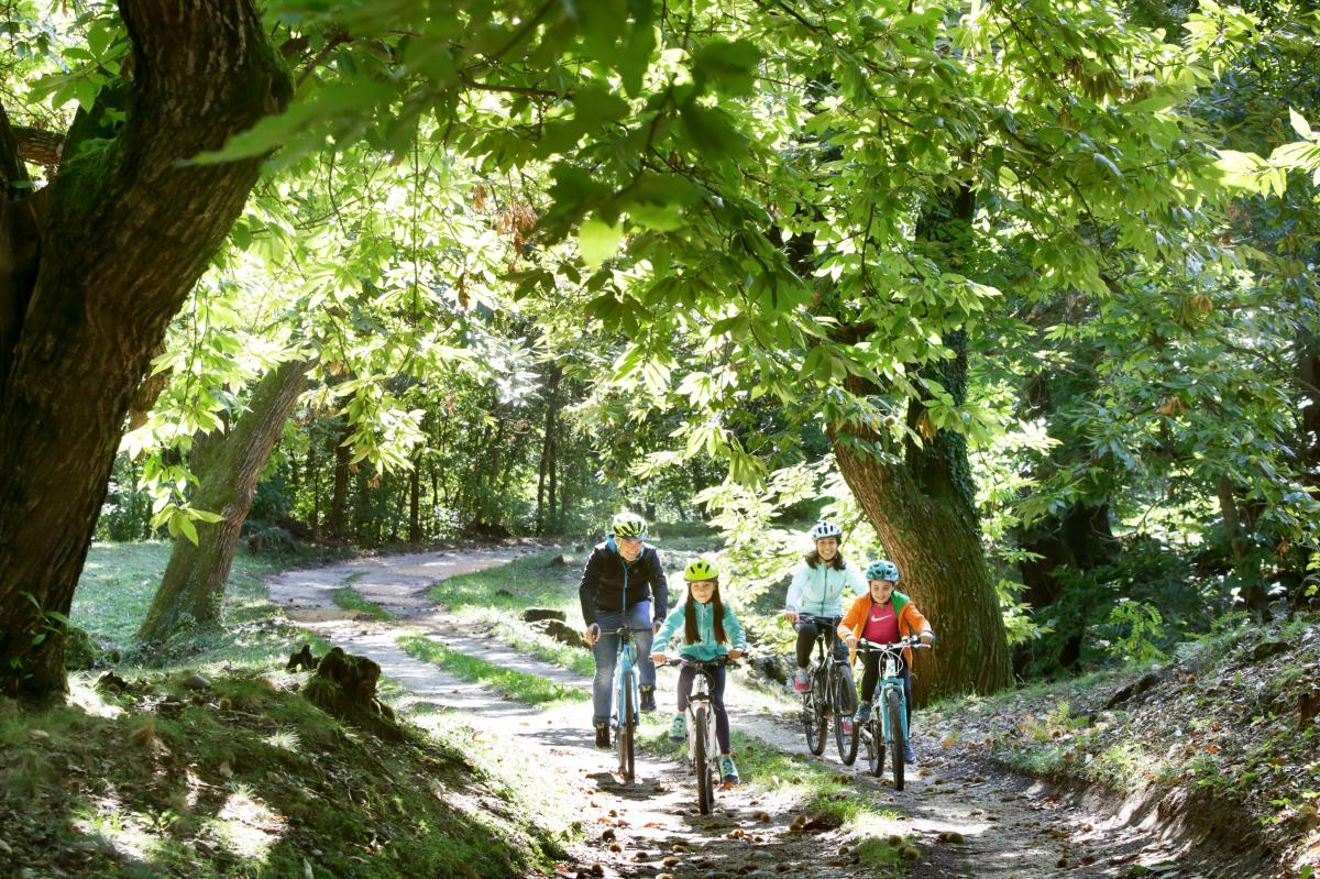 Tour in mountain bike sulle Colline del Prosecco durante la tua vacanza attiva in Veneto con bambini