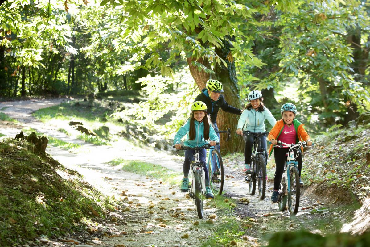 Vacanza in bicicletta con la famiglia in Veneto - Tour semplici in mountain bike in Veneto