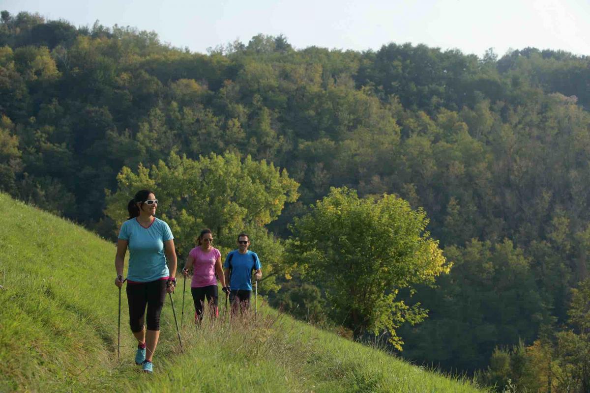 Nordic Walking sulle Colline del Prosecco Superiore durante la tua vacanza attiva in Veneto