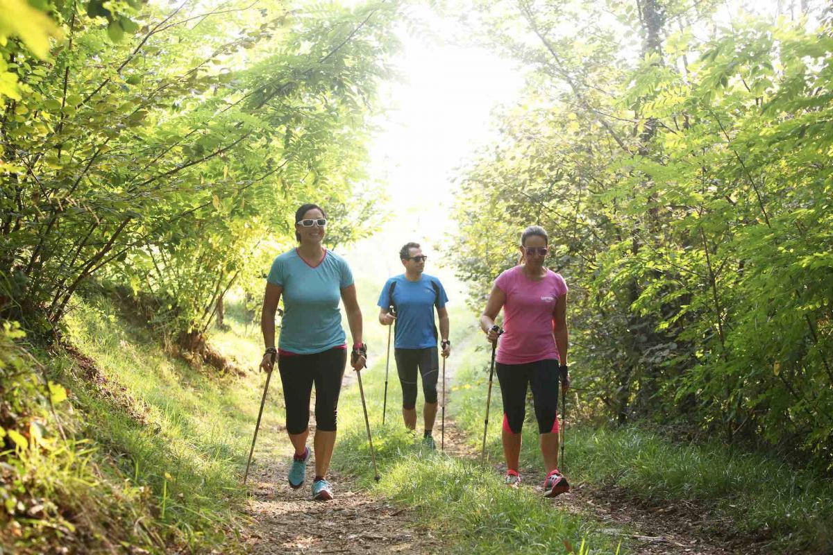 Nordic Walking sulle Colline del Prosecco Superiore durante la tua vacanza attiva in Veneto