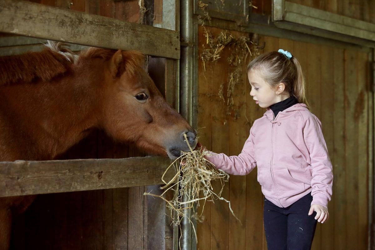 Vacanza a cavallo in Veneto alla scoperta delle Colline del Prosecco