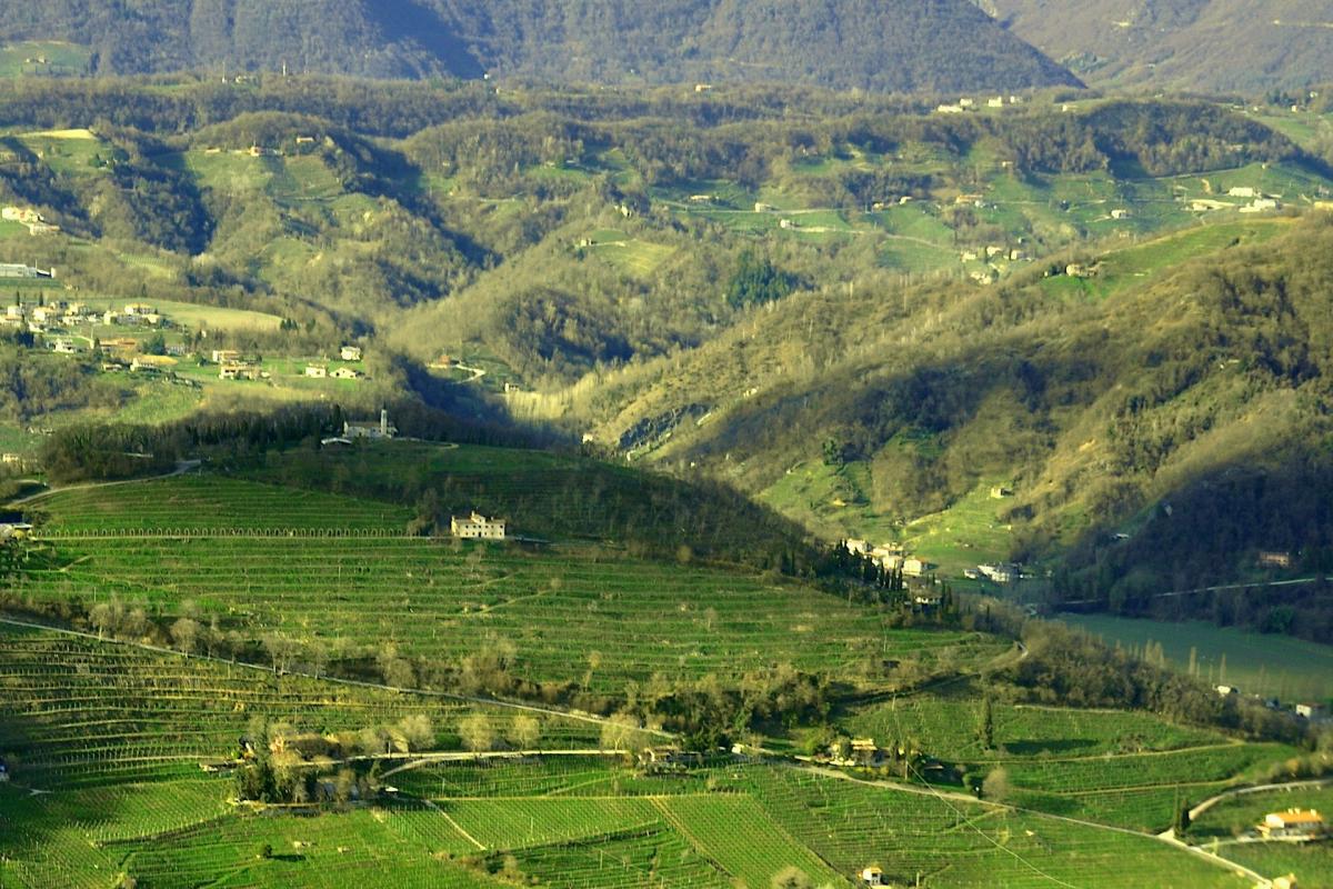 SAN_GALLO_001