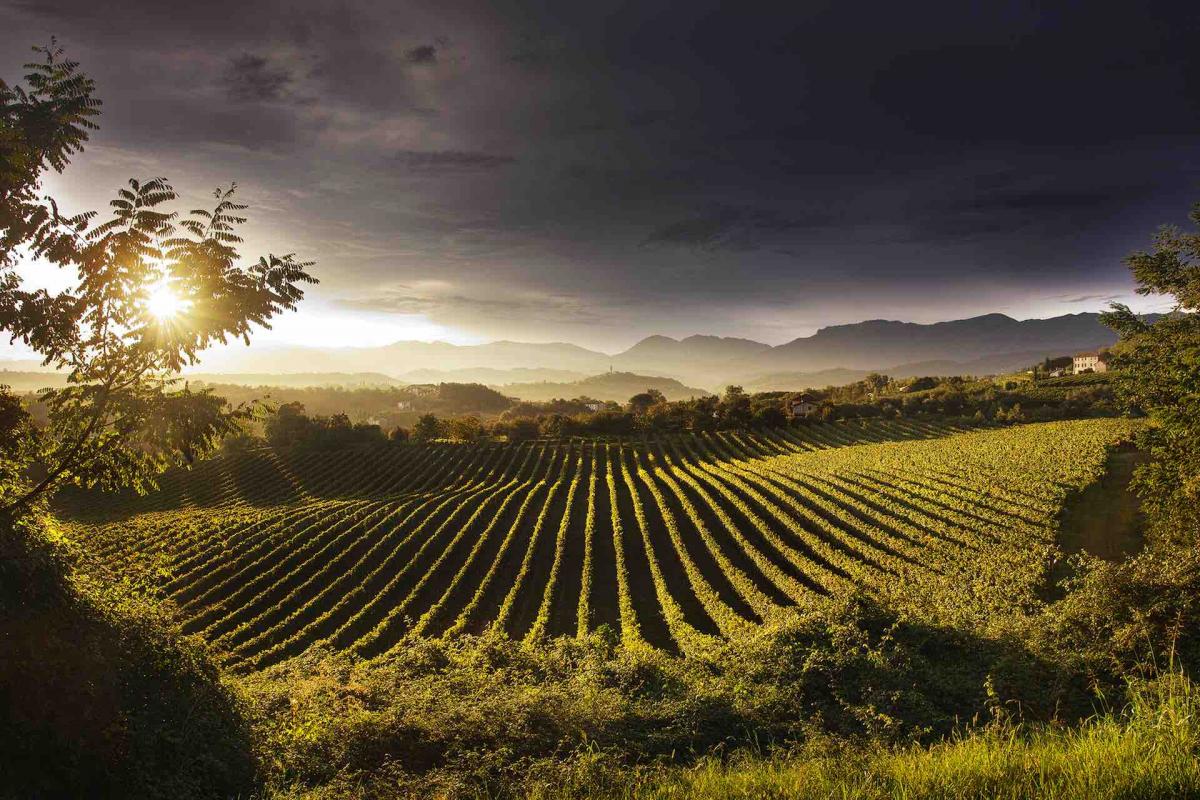 Viaggi Fotografici in Veneto sulle Colline del Prosecco, scatta le migliori foto di Venezia, le Dolomiti ed i borghi più belli d'Italia in Veneto