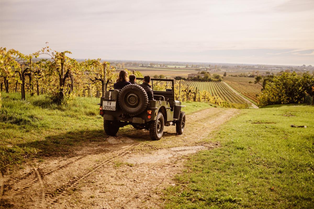 wine xp offroad (1)