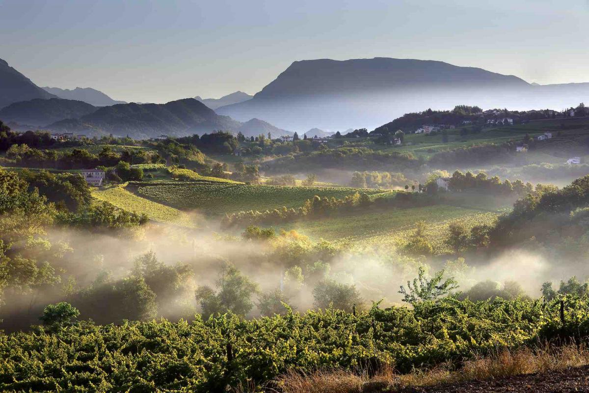 Viaggi Fotografici in Veneto sulle Colline del Prosecco, scatta le migliori foto di Venezia, le Dolomiti ed i borghi più belli d'Italia in Veneto