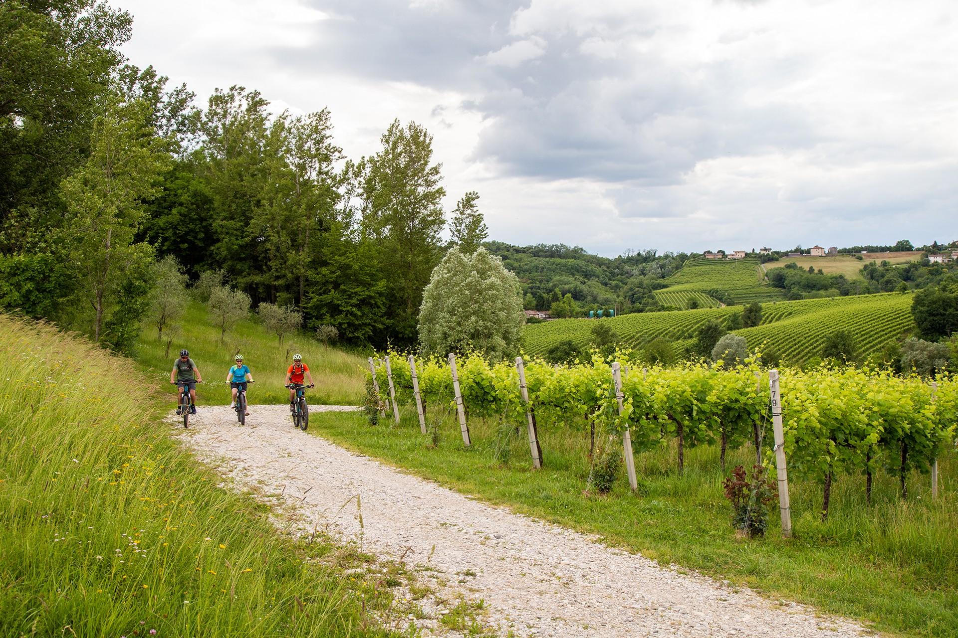 Pasqua In MTB Sulle Colline Del Prosecco Patrimonio Unesco 