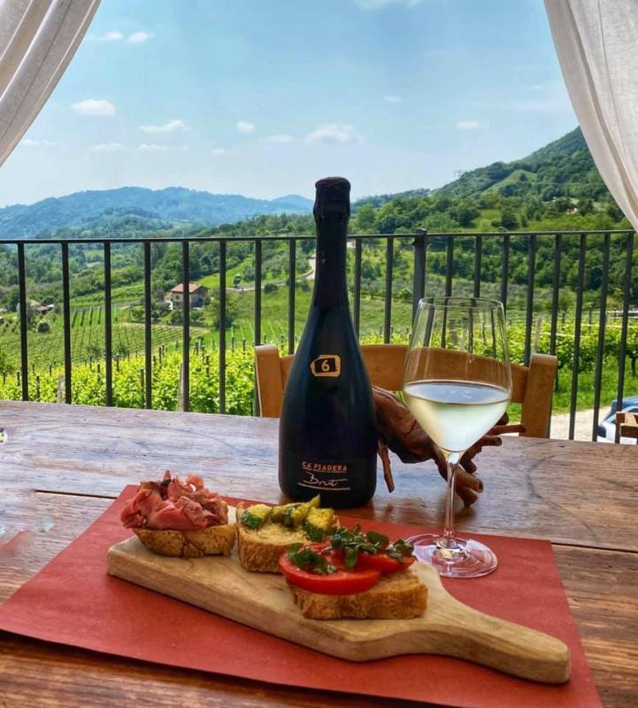 Degustazione con vista vigna