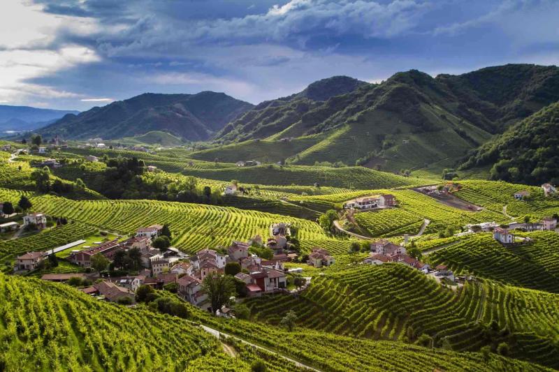 The DOCG Cartizze Hills:  a spellbinding vineyard landscape