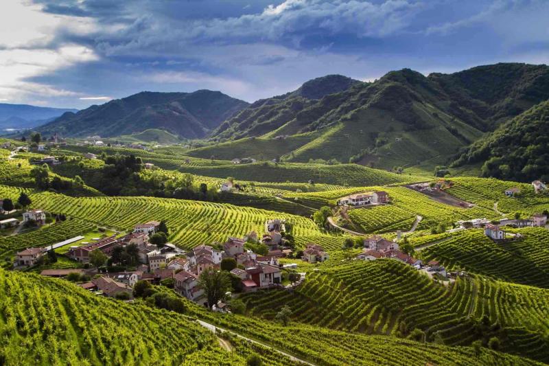 Der Weinberg des Cartizze DOCG, die landschaftliche Schönheit der Weinregion 