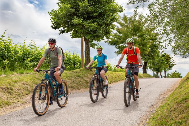 E-Bike-Tour von Valdobbiadene zum Col San Martino
