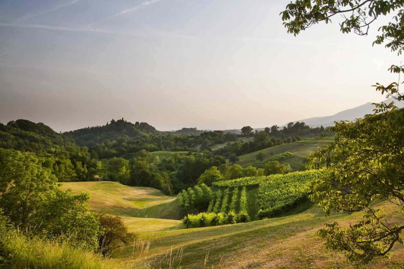 Die Hügel von Asolo,  Wege für Spaziergänger und Läufer 