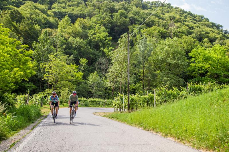 Gran Fondo around Montello, Asolo and the Grappa foothills