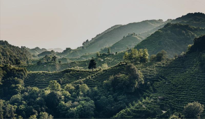 Le nostre Colline sono Patrimonio UNESCO