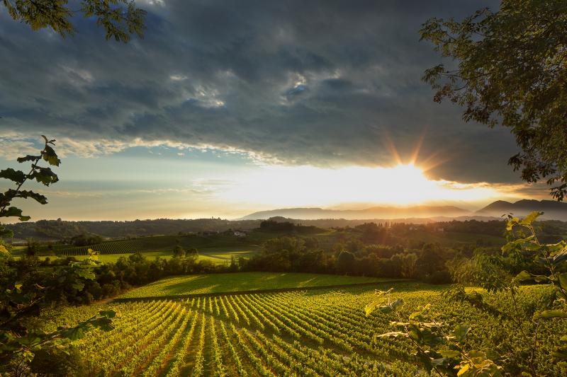 Weather forecasts for the Prosecco Hills