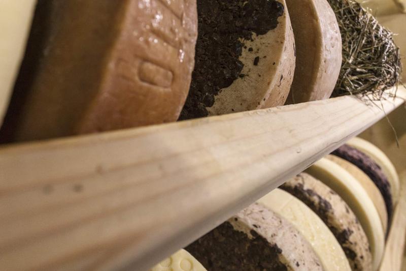 Internationale Käseakademie, die Kunst, Käse zu machen