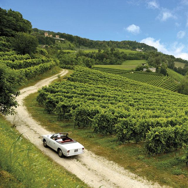 partecipa all' evento centomiglia sulle Colline del Prosecco