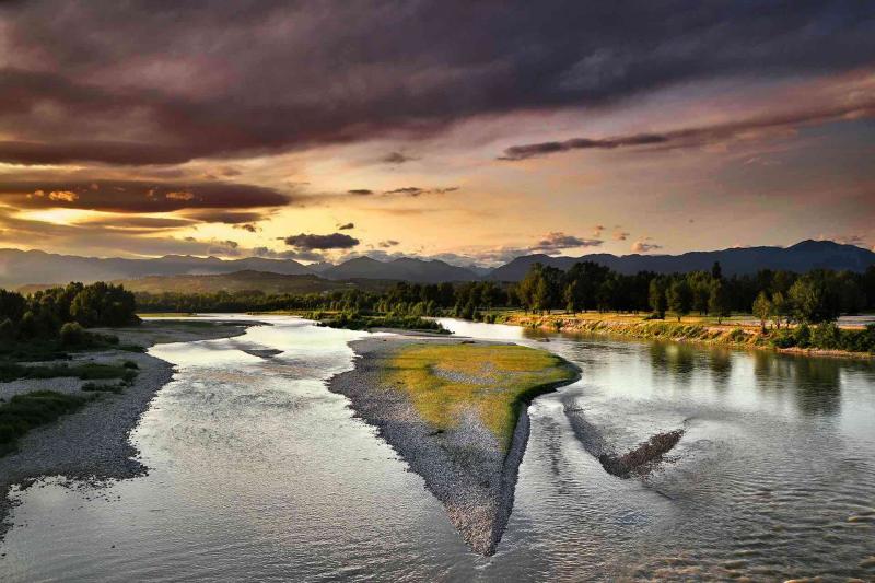 Der Piave, ein Schatzkästchen der Biodiversität