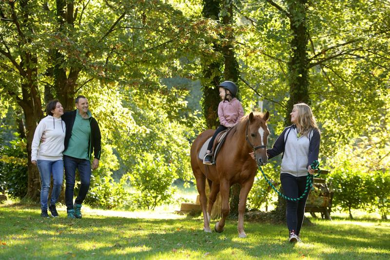 Learning to ride in Veneto and horse-riding holidays in the Prosecco Hills!