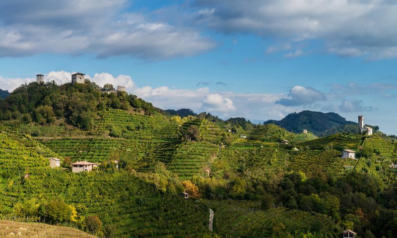 Walking route among the vineyards to the Credazzo Towers